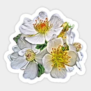 Wild Roses Design Painating Sticker